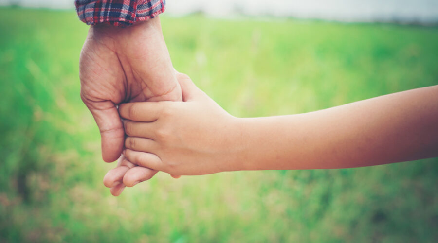 An Estate Plan or a Wealth Transfer Strategy?