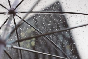 Build Your Rainy Day Fund