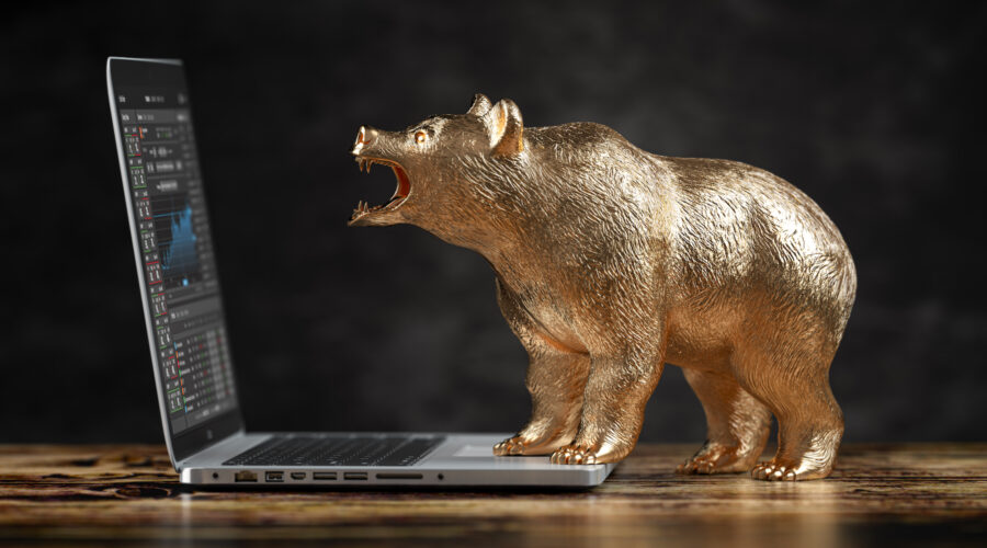Bear Market Bargains?
